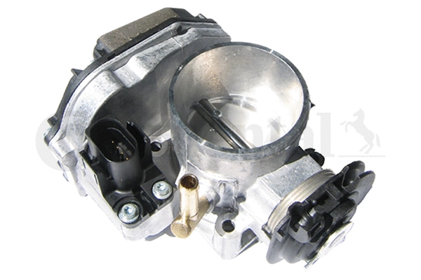 Throttle Body (408-237-111-004Z)