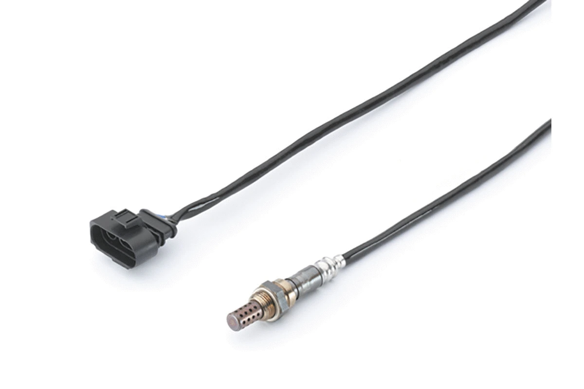 Lambda Sensor (A2C59513189Z)