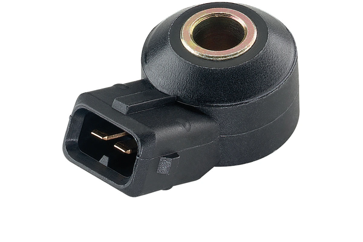 Knock Sensor (S103995001Z)