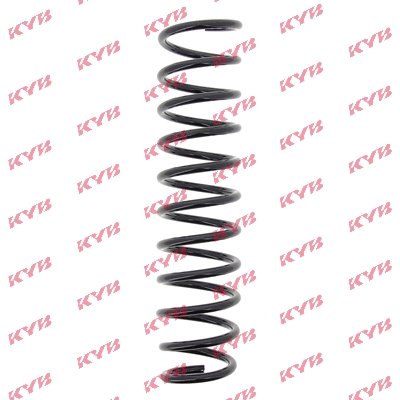 Suspension Spring (RC5855)