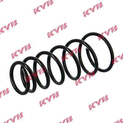 Suspension Spring (RA6495)