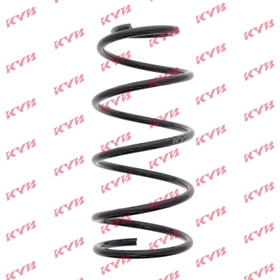 Suspension Spring (RC3010)