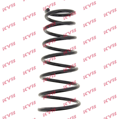 Suspension Spring (RI6171)
