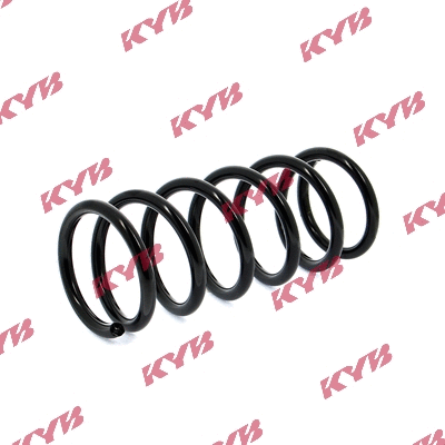 Suspension Spring