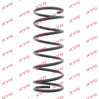 Suspension Spring (RA1901)