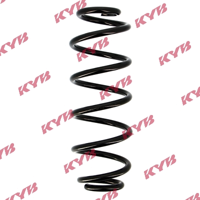 Suspension Spring (RA5001)