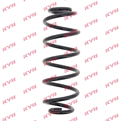 Suspension Spring (RA6100)