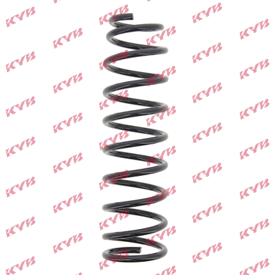 Suspension Spring (RC6316)