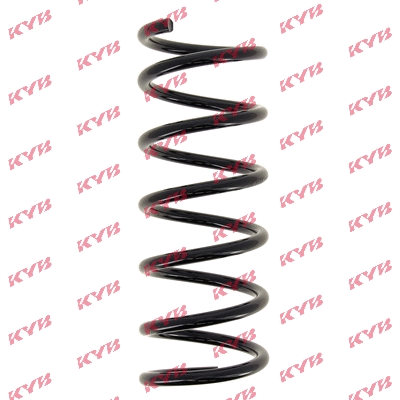Suspension Spring (RA6201)