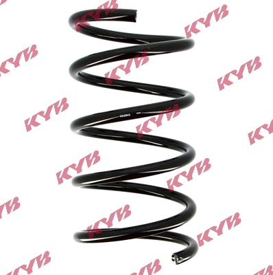 Suspension Spring (RA2843)