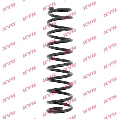 Suspension Spring (RC6419)