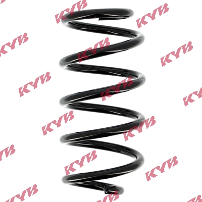 Suspension Spring (RG6455)