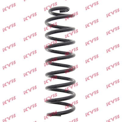 Suspension Spring (RC5881)