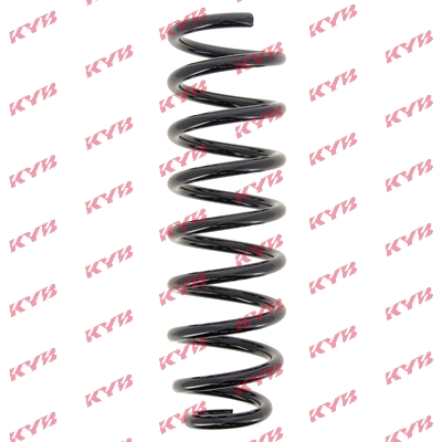 Suspension Spring (RC5534)
