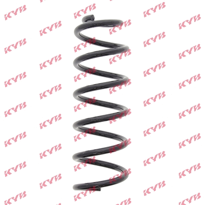 Suspension Spring (RC5421)