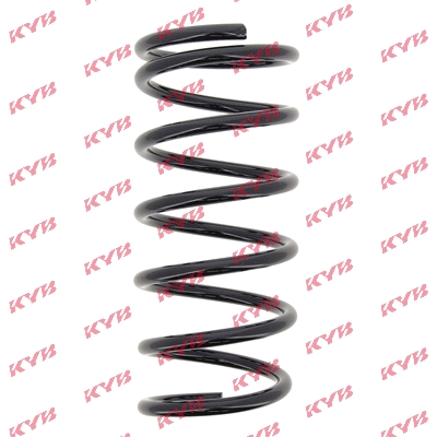 Suspension Spring (RC5895)