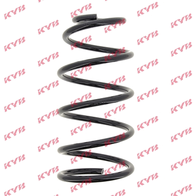 Suspension Spring (RC3013)