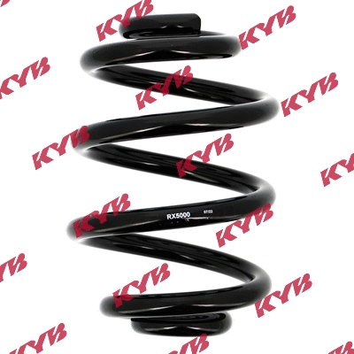 Suspension Spring (RX5000)