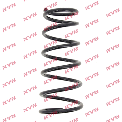 Suspension Spring (RI5450)