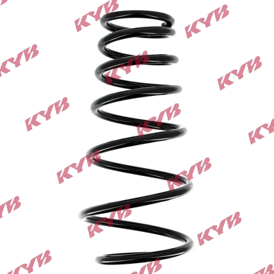 Suspension Spring (RG5009)