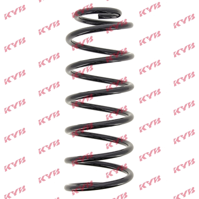 Suspension Spring (RC1703)