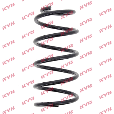 Suspension Spring (RC6696)