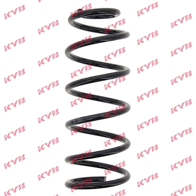Suspension Spring (RC5069)