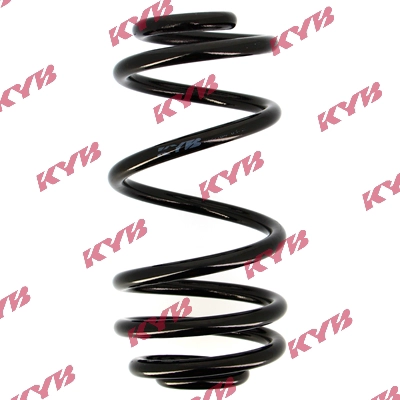 Suspension Spring (RA5164)