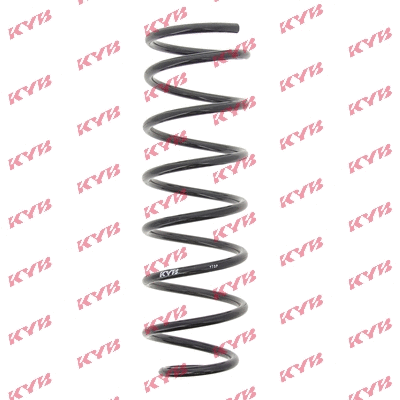 Suspension Spring (RC1045)