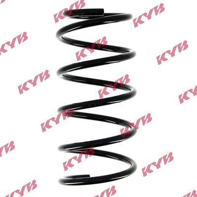Suspension Spring (RG6557)