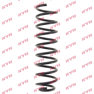 Suspension Spring (RC5496)