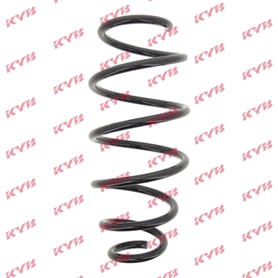 Suspension Spring (RA3976)
