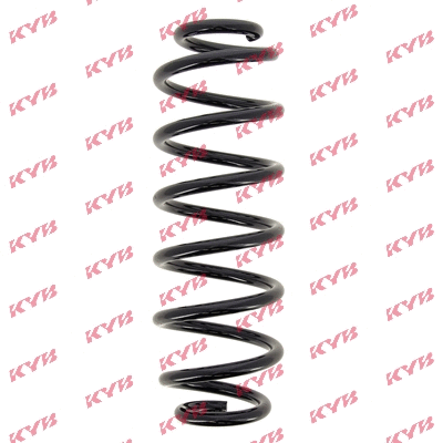 Suspension Spring (RA6164)