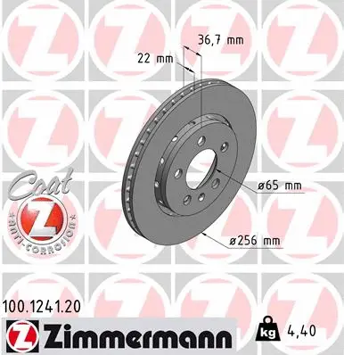 Brake Disc (100.1241.20)