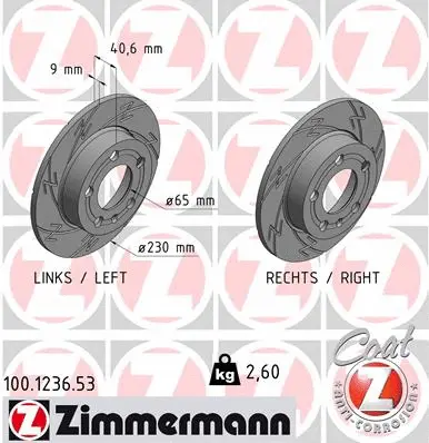 Brake Disc (100.1236.53)