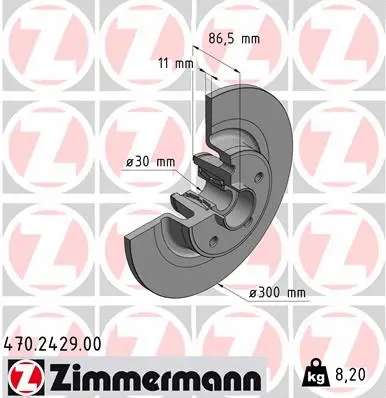 Brake Disc (470.2429.00)