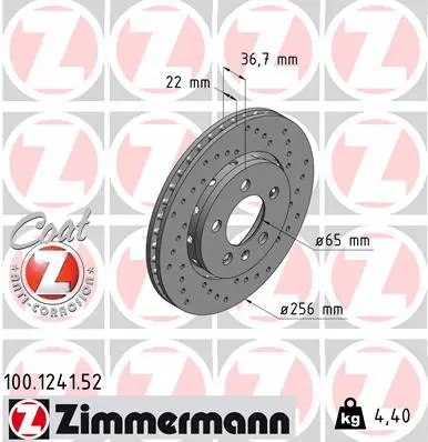 Brake Disc (100.1241.52)
