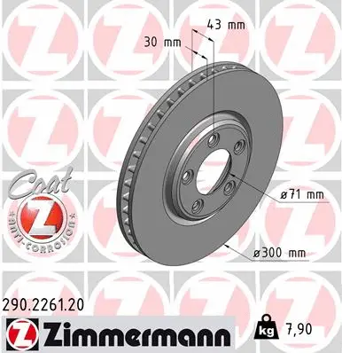 Brake Disc (290.2261.20)