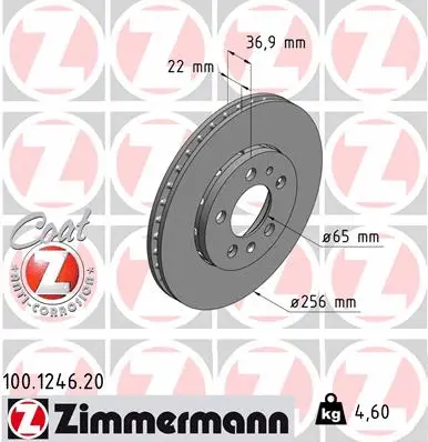 Brake Disc (100.1246.20)
