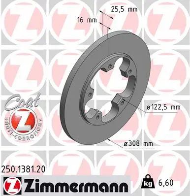 Brake Disc (250.1381.20)