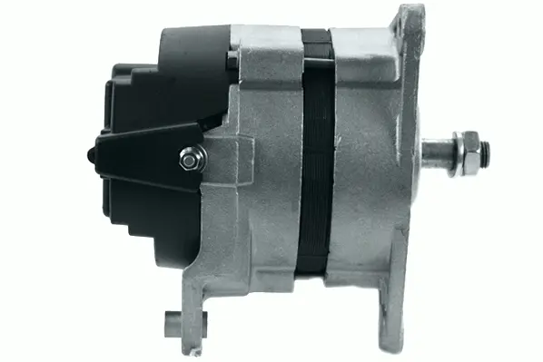 Alternator (9031701)