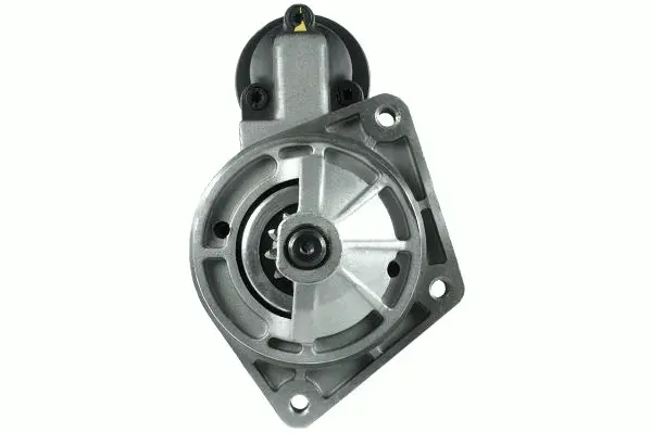 Starter (8011911)