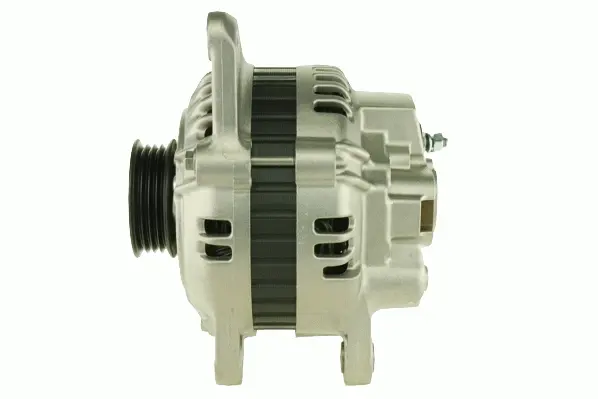 Alternator (9051519)