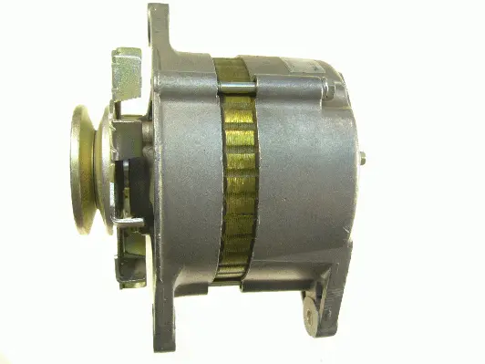 Alternator (9051902)