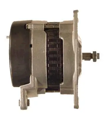 Alternator (9066384)