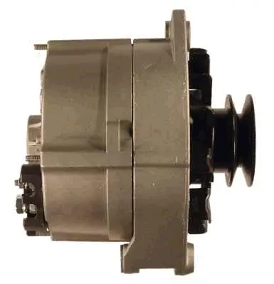 Alternator (9039450)