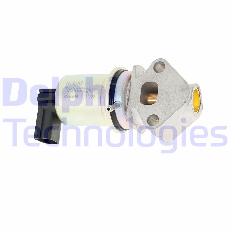 EGR Valve (EG10646-12B1)