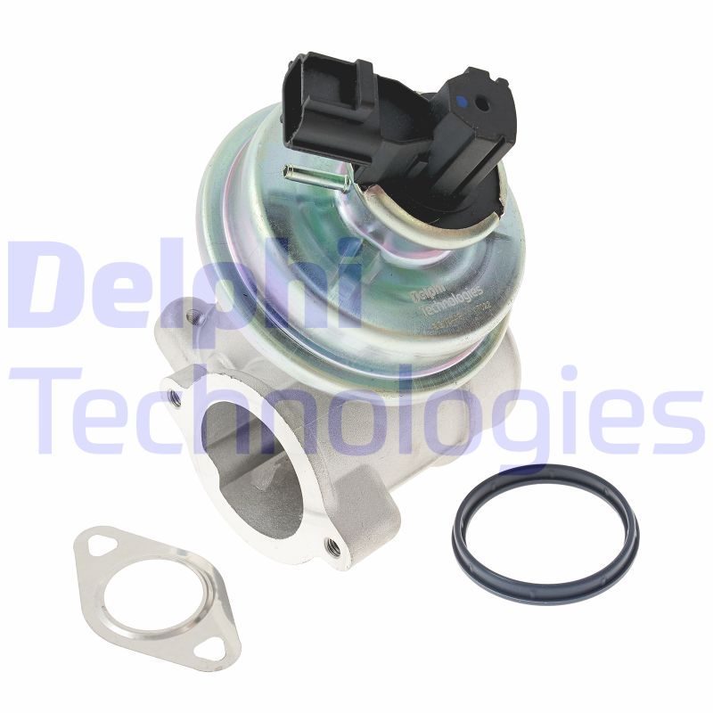 EGR Valve (EG10449-12B1)