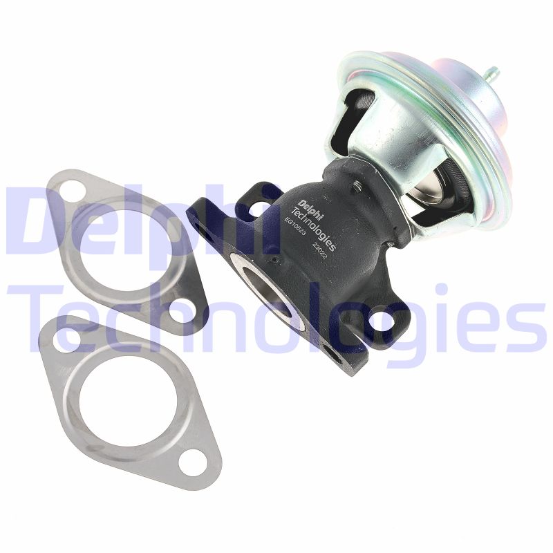 EGR Valve (EG10623-12B1)