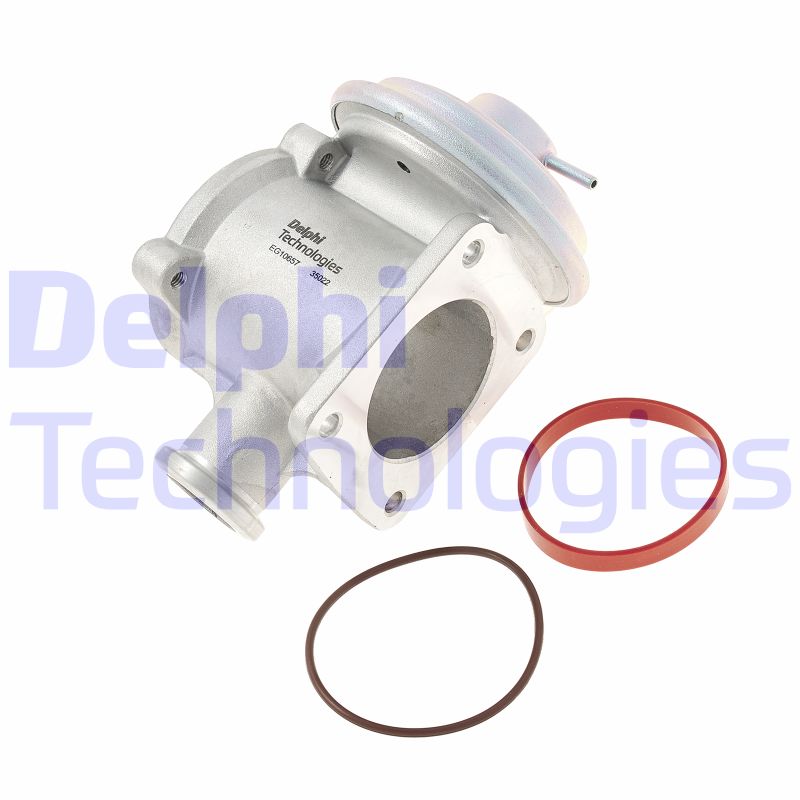 EGR Valve (EG10657-12B1)
